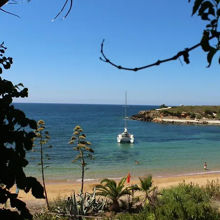 Dionisis Appartement Kounopetra