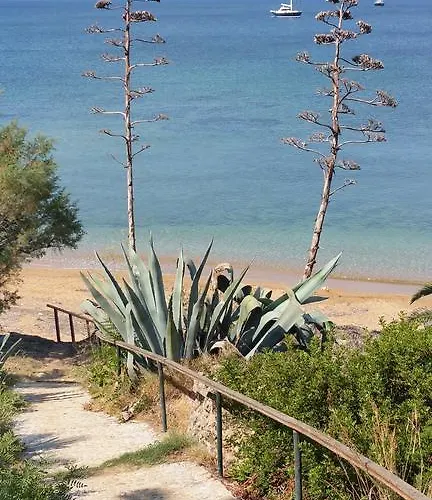 Dionisis * Κουνόπετρα