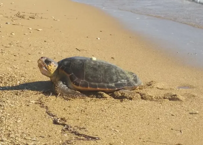 Апартаменты Dionisis